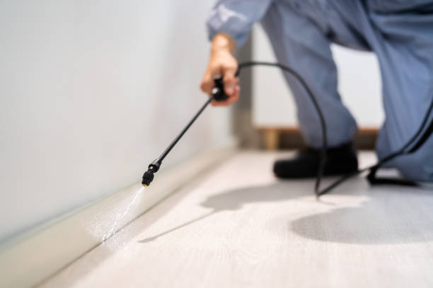 Wildlife Control Services in Alhambra, CA