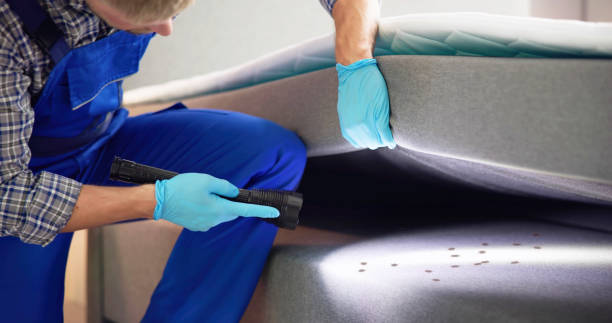 Best Rat Extermination Near Me  in Alhambra, CA