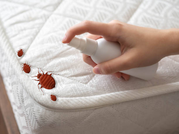 Best Affordable Pest Control Services  in Alhambra, CA