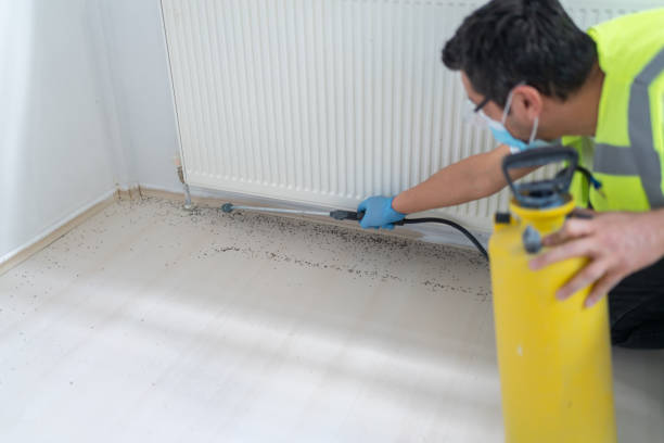 Flea Control Services in Alhambra, CA