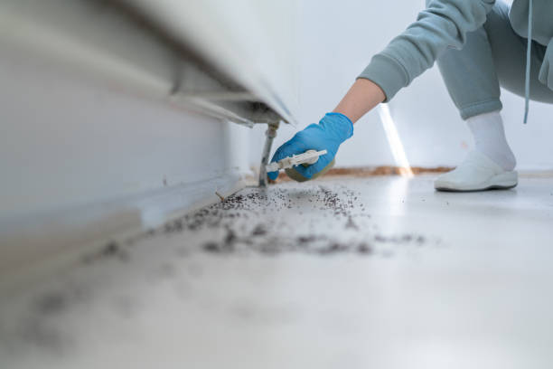 Best Pest Control Near Me  in Alhambra, CA